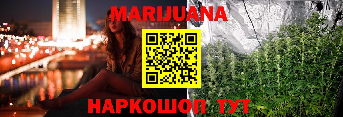 Каннабис планчик  Шишки марихуана план  Донецк  Вход с VPN  Каннабис сатива 